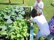 Zahradničíme ve školce